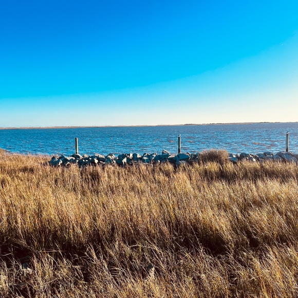 Meet your Posher, Denise - Picture 1 of 1